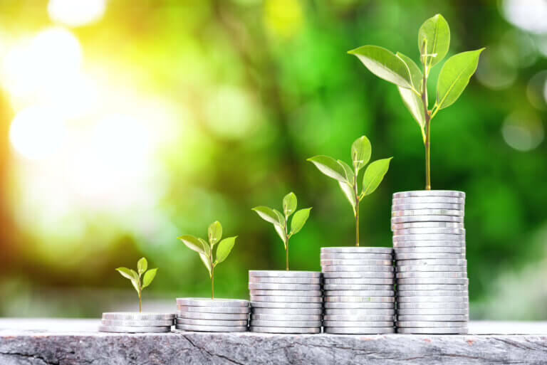 Sustainable Banking Tips