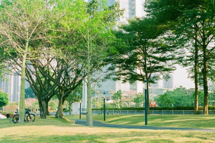 Preserving Urban Green Spaces Preserving Urban Green Spaces