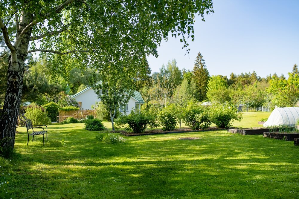 Beautiful Green Garden Full Of Trees Decorative Plants And Blossoming