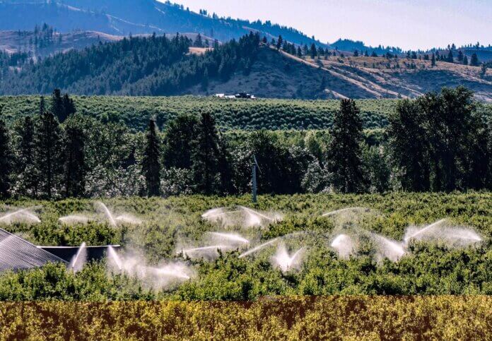 Achieving Sustainable Agriculture