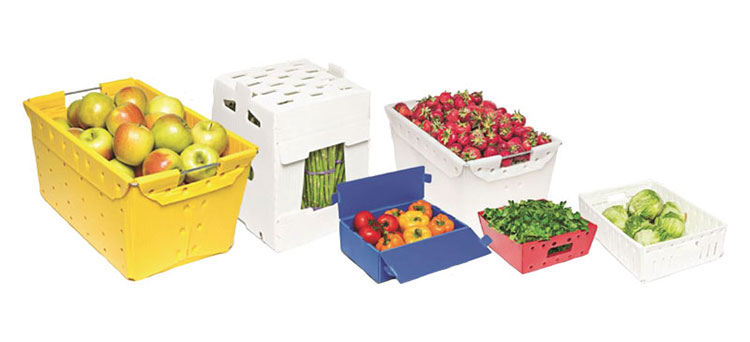 Smarter Packaging, Fresher Food