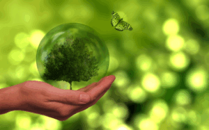 Emerging Sustainability Trends