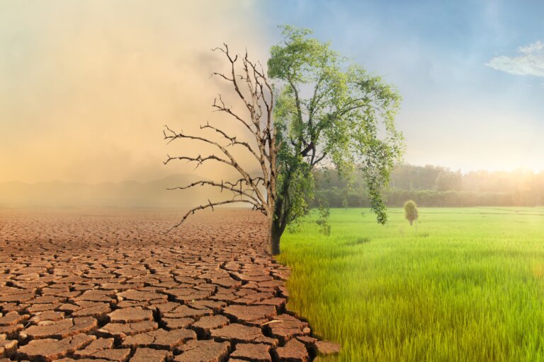 Climate Change Is Changing the Air