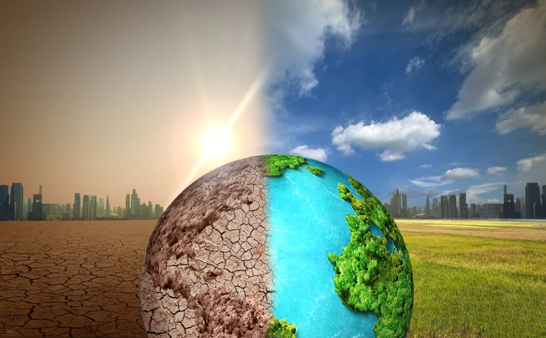 Ways To Stay Rooted When Facing Climate Change