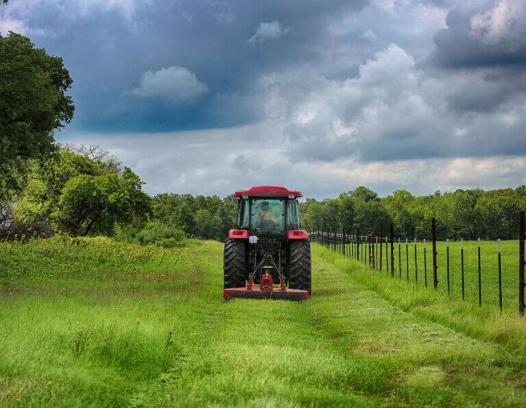 Sustainable Mowing Tips