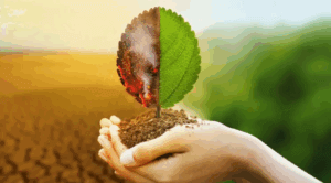 Smart Energy Investment For Sustainable Cities