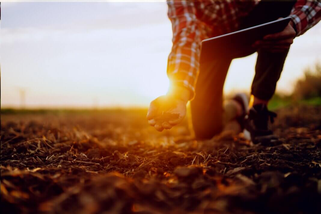 Organic Fertilizer
