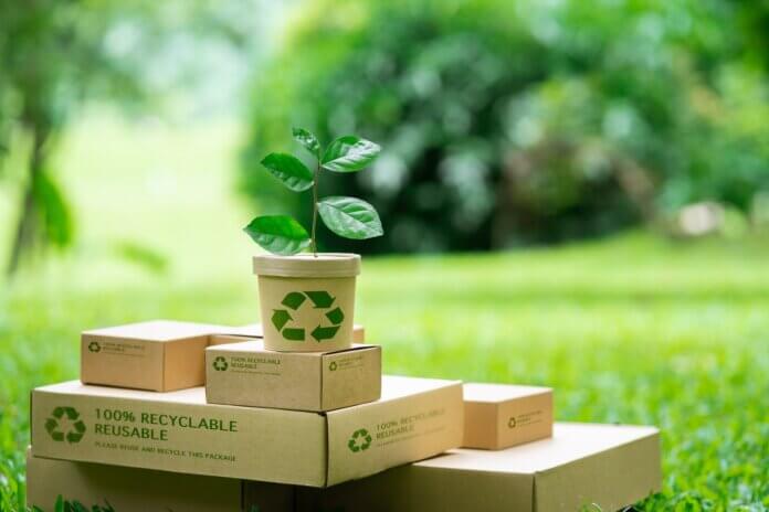 Rethinking Sustainable Packaging