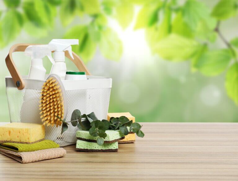 Create a More Sustainable Home 