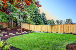 Building An Eco Friendly Backyard Right