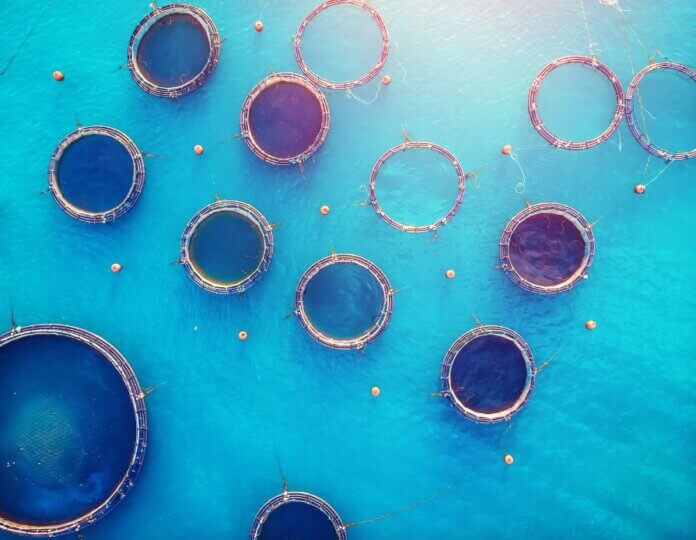 Sustainable Aquaculture Farming