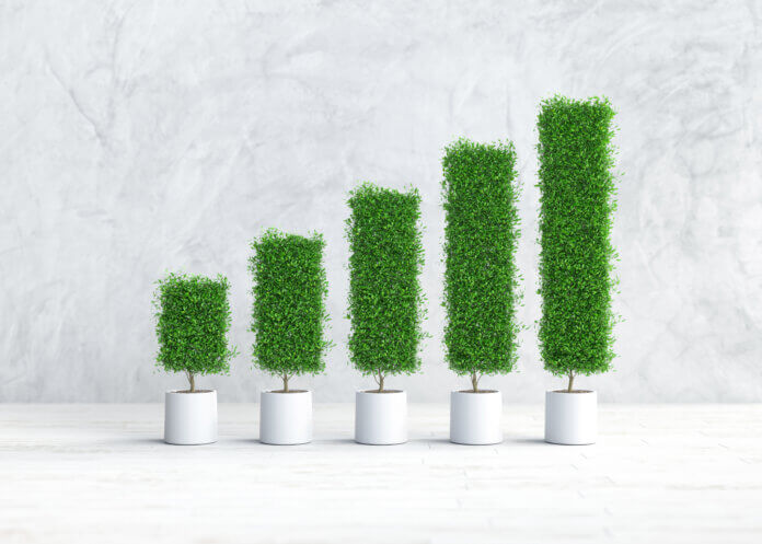 Eco Friendly White Hat Links