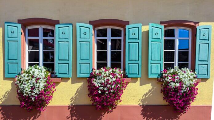 Sustainable Self Watering Window Boxes