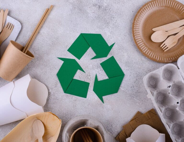 Sustainable Food Packaging