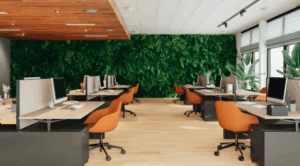 Green Workplace Design Ideas