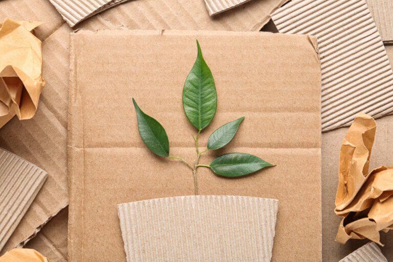 Sustainable Packaging Materials