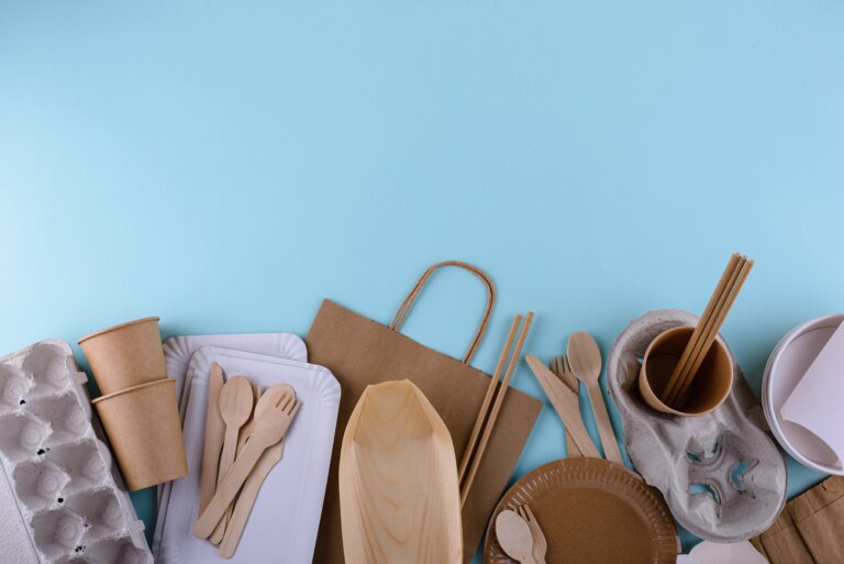 Sustainable Food Packaging