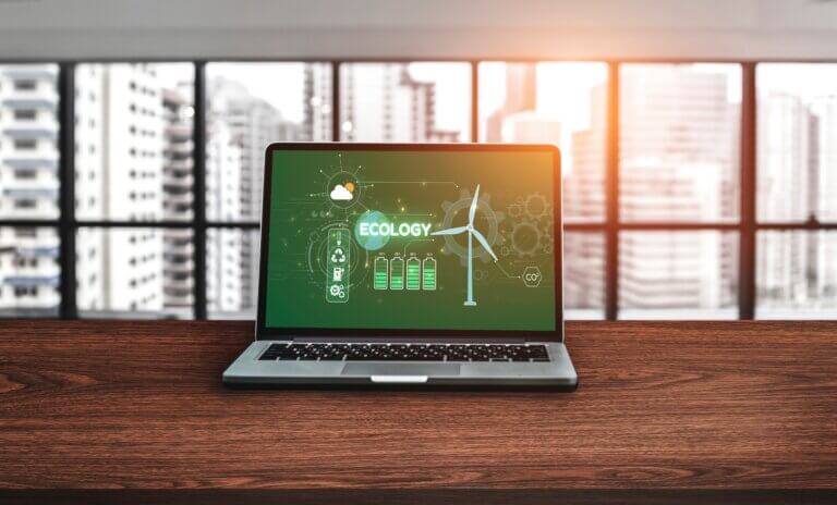 Sustainable Software Strategy