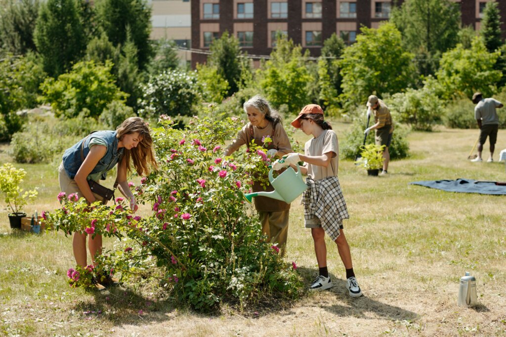 Real Community Enhance Neighborhood Community Life | Green City Times