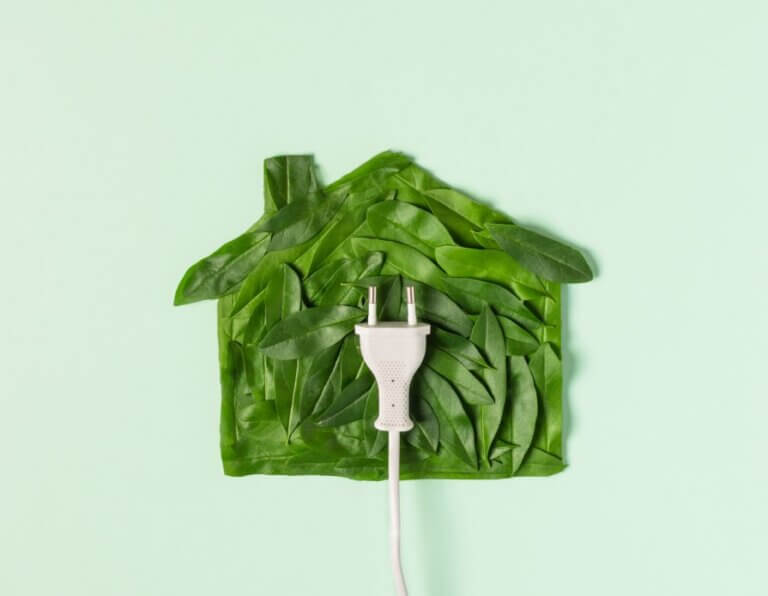 Common Traits of Energy-Efficient Homes