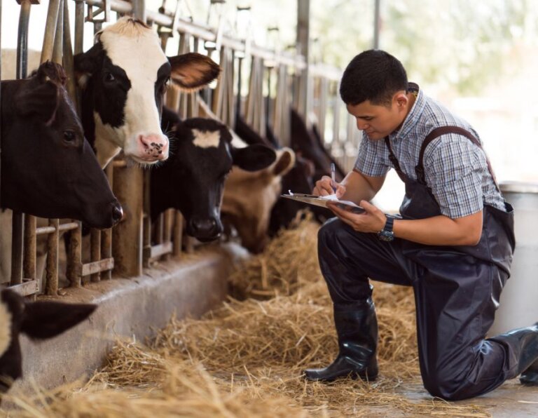 Sustainable Seasonal Farm Care