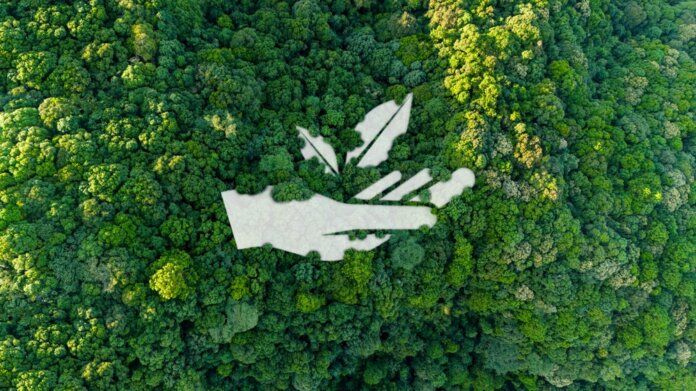 Easy Ways To Lower Your Carbon Footprint