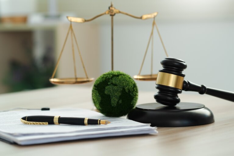 Environmental Law in California