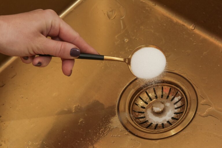 Natural Agents to Clean Mold