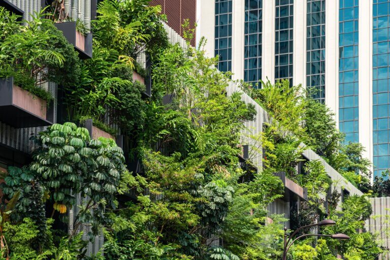 Vertical Gardens and Green Façades