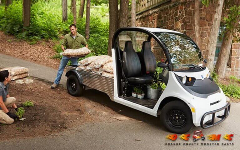 Low-Speed Electric Vehicles